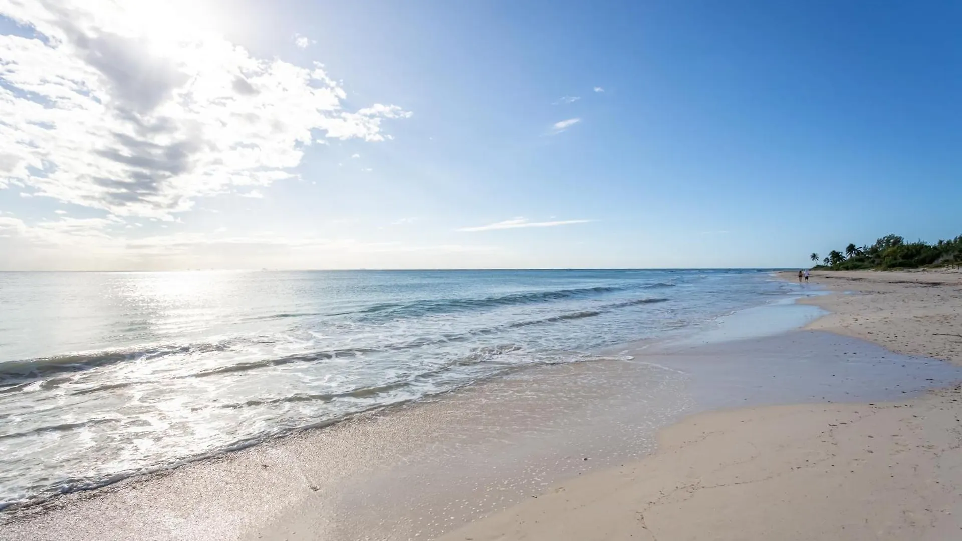 Gorgeous Ocean Front Apartment Casa Shell Condo Playa del Carmen