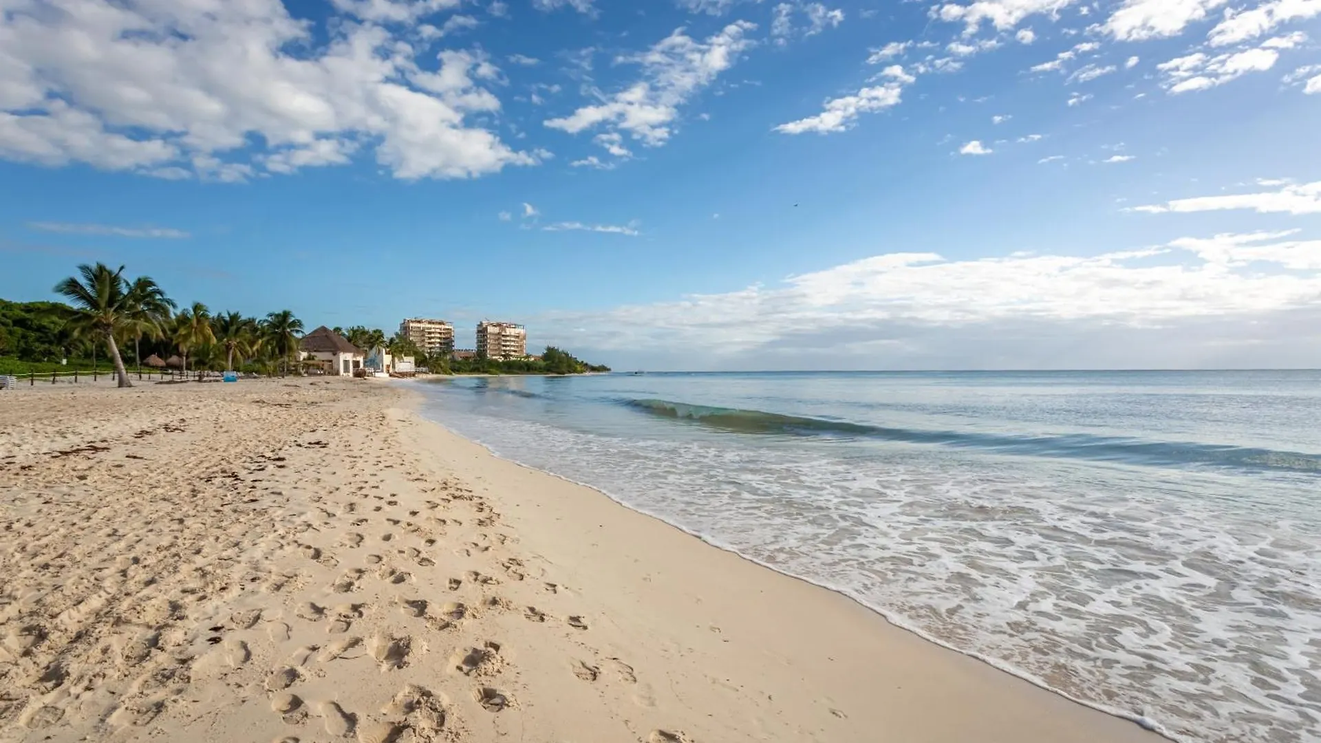 Gorgeous Ocean Front Apartment Casa Shell Condo Playa del Carmen Mexico