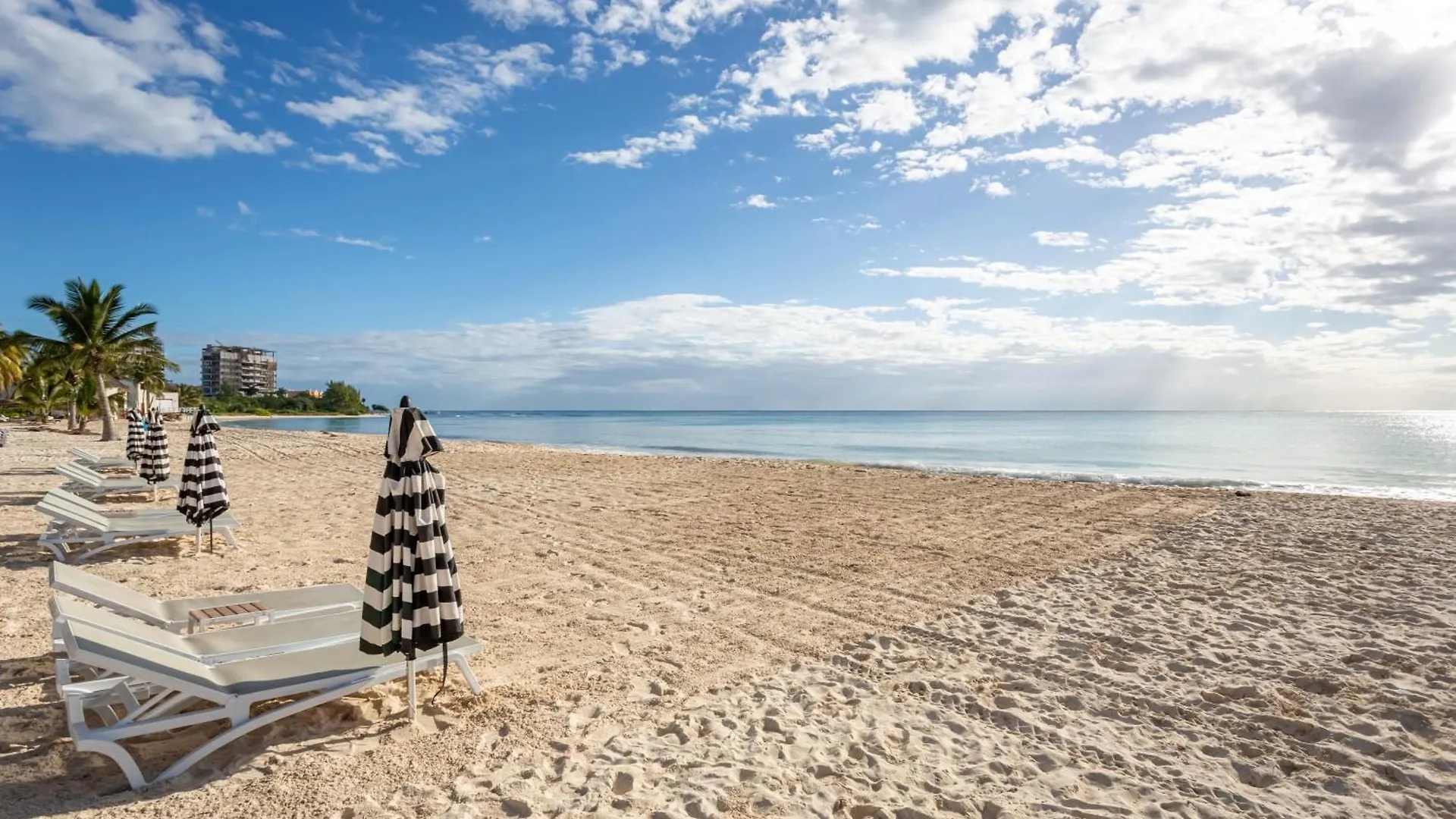 Gorgeous Ocean Front Apartment Casa Shell Condo Playa del Carmen